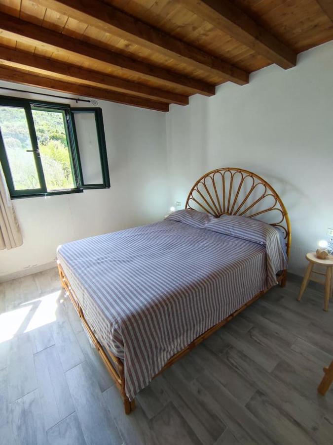 Villa Ulivella Schifoni Екстер'єр фото