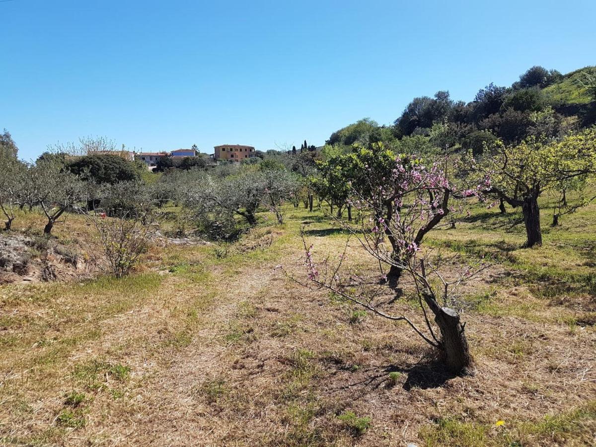Villa Ulivella Schifoni Екстер'єр фото