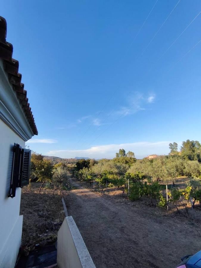Villa Ulivella Schifoni Екстер'єр фото